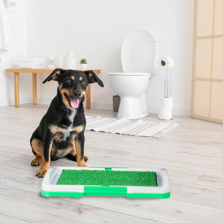 Image du produit Relaxdays Toilettes pour chiens (Chien)
