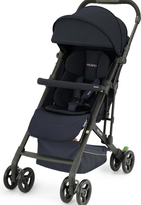 Actual product image RECARO Easylife Elite 2
