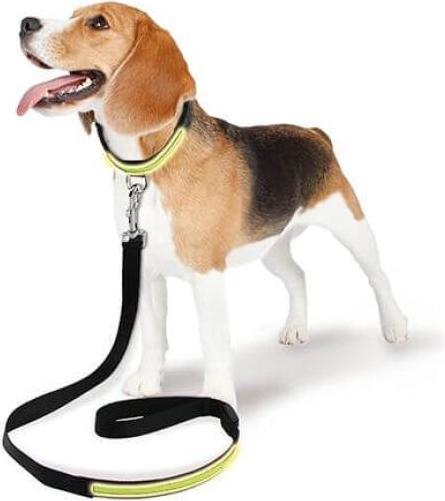 Produktbild Swisspet Leuchtleine Fluo (Hund, Hundesport)