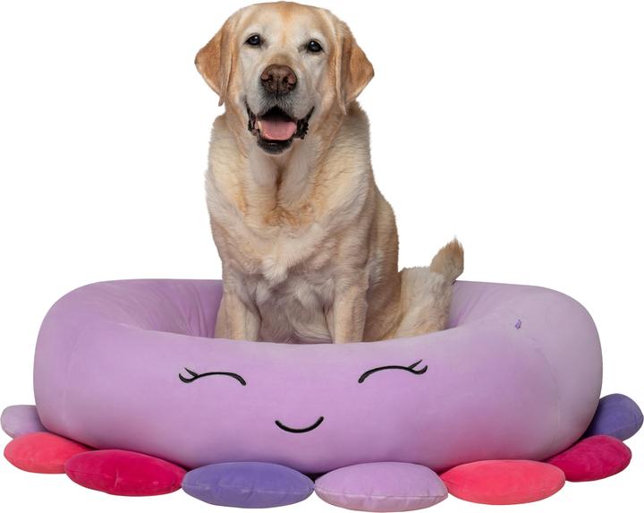 Actual product image Squishmallows Pet Bed - Octopus 76 cm (JPT0085-L) (Dog)