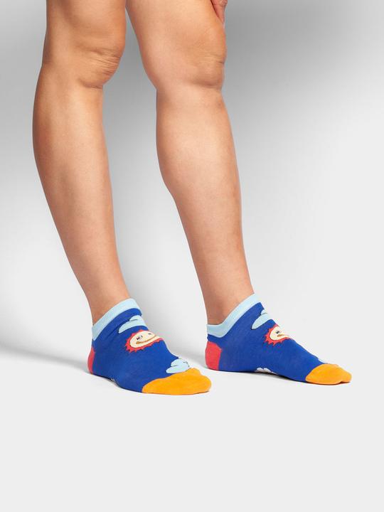 Image du produit DillySocks Prévisions météorologiques à court terme (41 - 46)