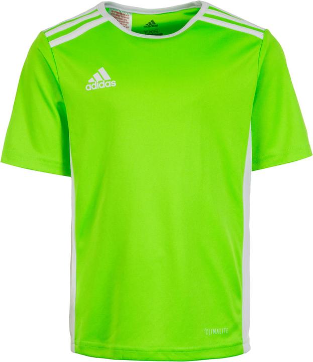 adidas Entrada 18 football jersey children (128)
