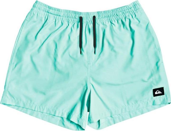Actual product image Quiksilver Everyday Volleys (M)