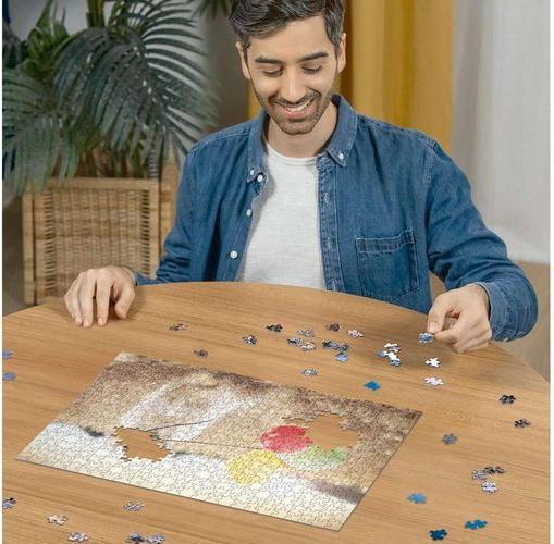 Immagine prodotto Ravensburger Girono di Festa (500 pezzi)