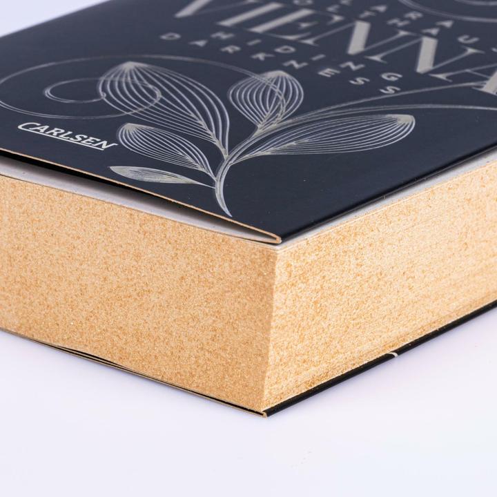 Actual product image Vienna 2: Hiding Darkness (German, Lara Holthaus, 2024)