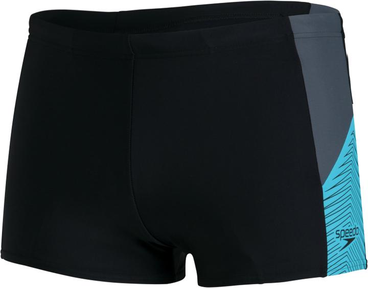 Speedo Dive maillot de bain hommes (42)