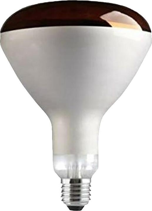 Tusk Intelec Infrarotlampe Mit Hartem Glas (250 W)