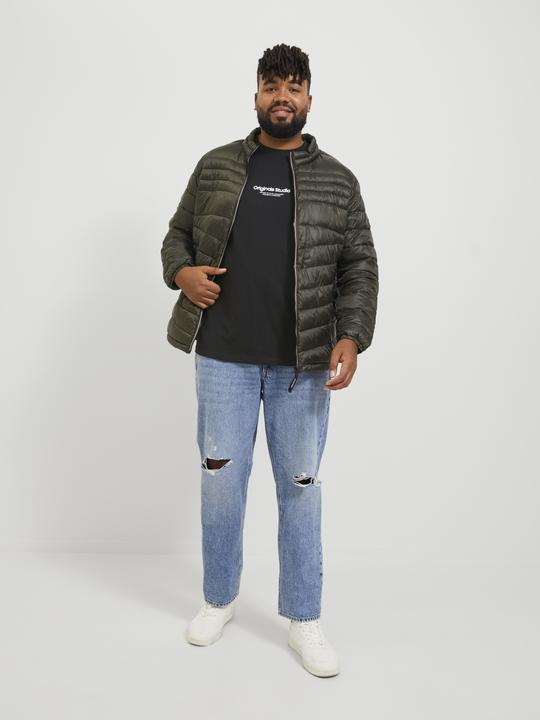 Produktbild Jack & Jones Jorvesterbro Tee Ss Crew Neck Noos Pls (XXL)