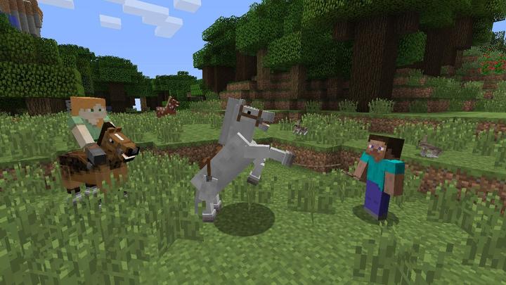 Image du produit Nintendo Minecraft (Switch, DE)