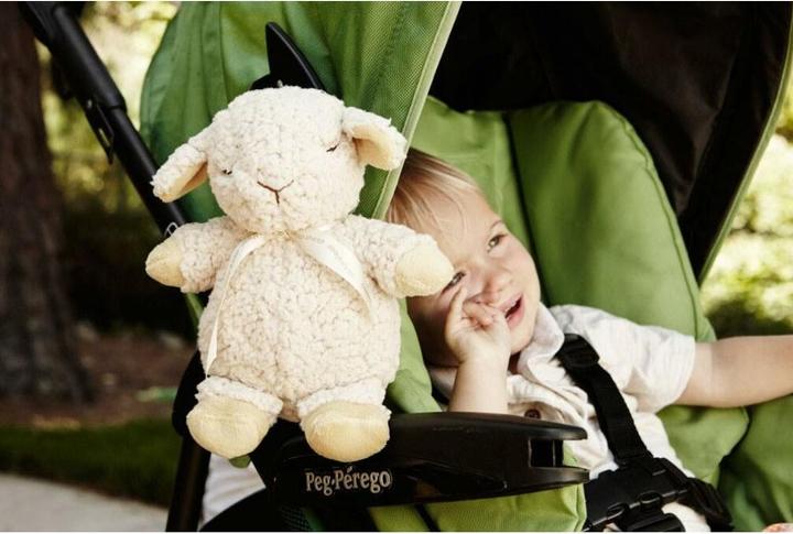 Actual product image Cloud B Sleep Sheep on the go (CB7302-ZZ)