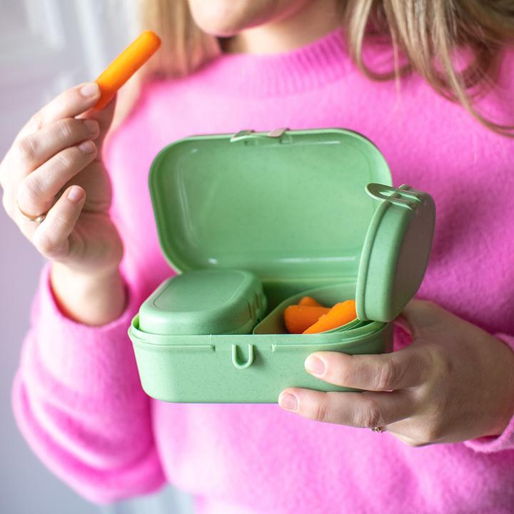 Actual product image Koziol Lunchbox Pascal S Green