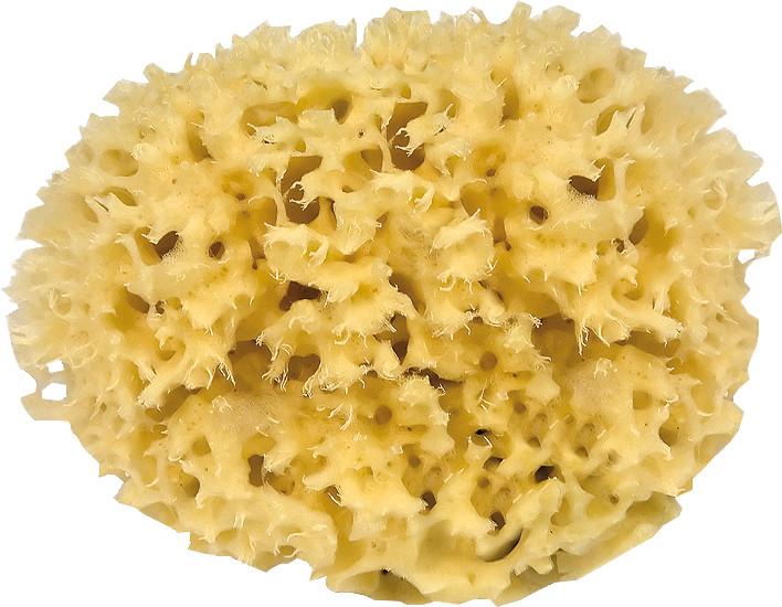 Actual product image NoName Blackboard sponge classic