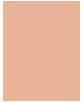 Actual product image Revlon Colorstay Makeup (220 Natural Beige)