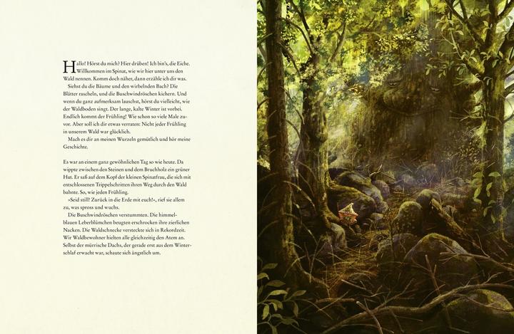 Actual product image Als der Wald erwachte (Emma Karinsdotter, Martin Widmark, Stefan Pluschkat, Emilia Dziubak, Maike Dörries, German)