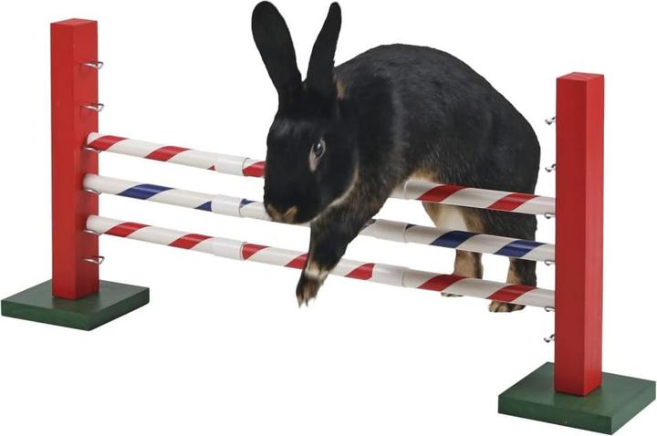 Actual product image Kerbl Steeplechase (One size, Agility)