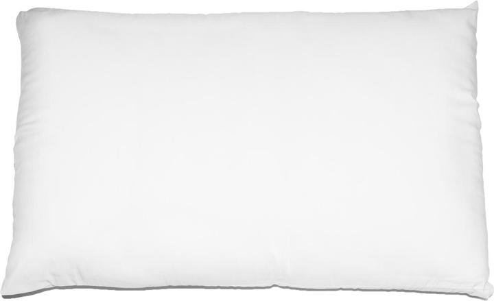 Image du produit Casativo Coussin ignifugé en polyester cardé, 50 x 80 cm, Made in Italy (50 x 80 cm)