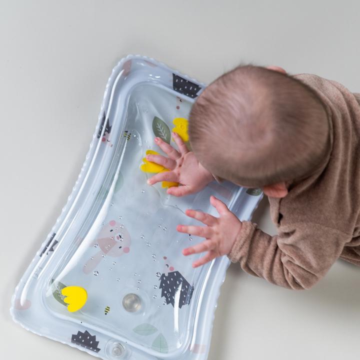 Immagine prodotto Taf Toys Set regalo Tummy Time