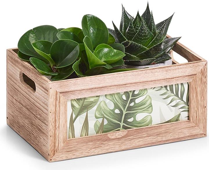 Image du produit Zeller Present Jungle (31 x 12 x 14 cm, 9.11 l)