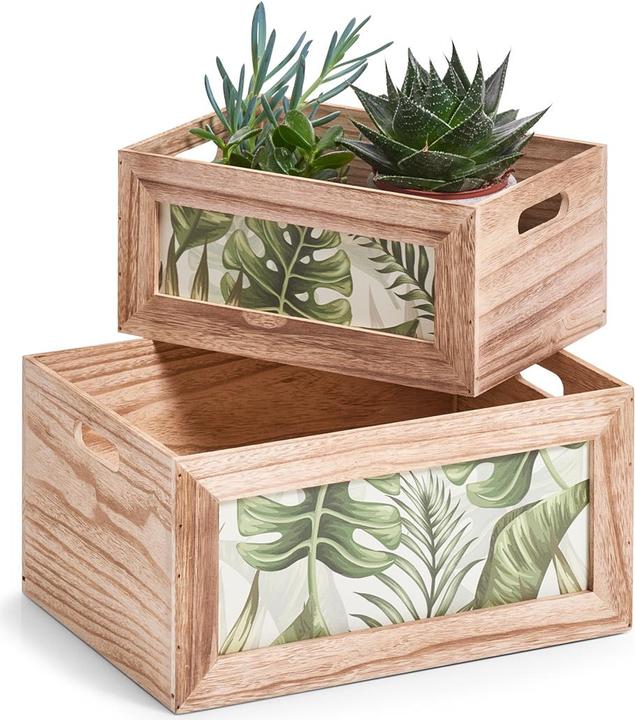 Image du produit Zeller Present Jungle (31 x 12 x 14 cm, 9.11 l)