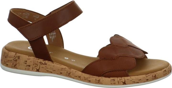 Camel, Braun