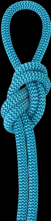 Actual product image Salewa Double (60 m)