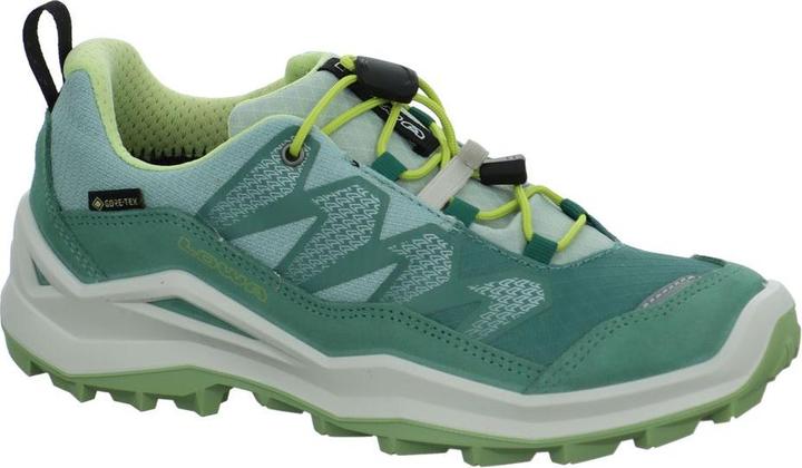 Produktbild Lowa Maddox Pro GTX LO (27)