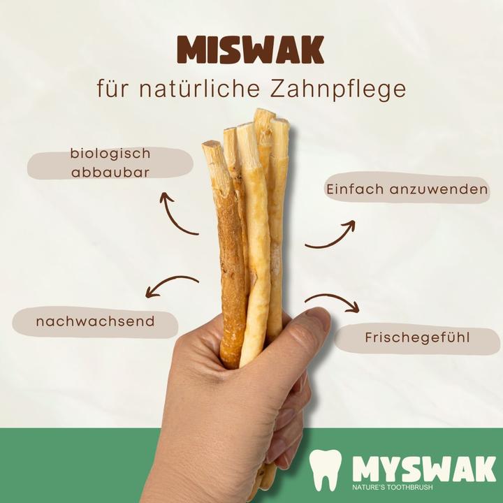 Actual product image Miswak Toothbrush wood (6 x)