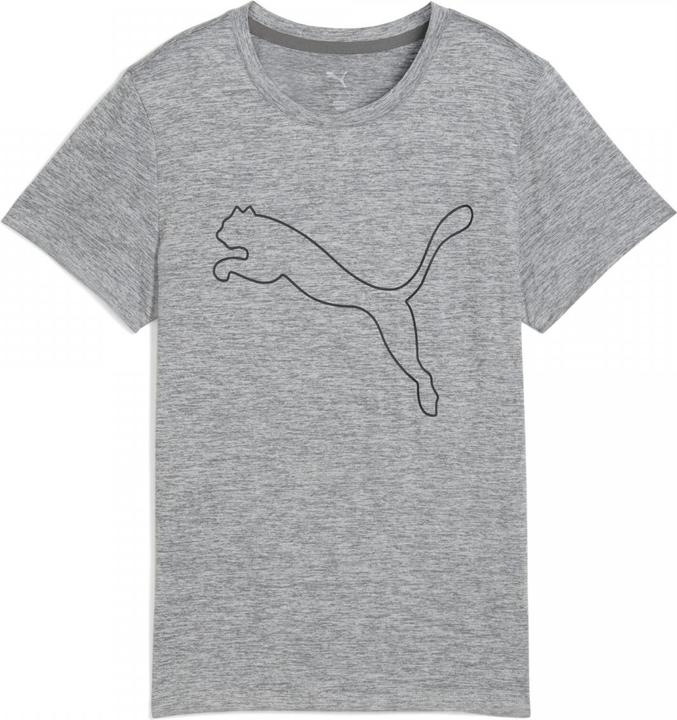 Actual product image Puma W TAD ESSENTIAL Heather Logo Tee (S)