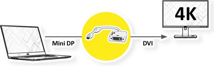 Image du produit Roline Mini DisplayPort vers DVI (VGA, 10 cm)