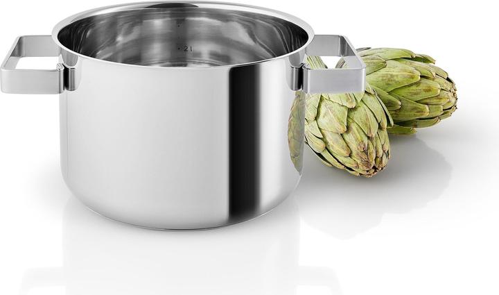 Actual product image Eva Solo Pot (19.40 cm, Pot, Stainless steel)