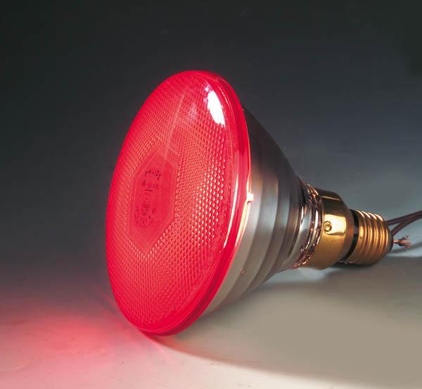 Actual product image Philips 22302 Economy lamp, 100 W, red (100 W)