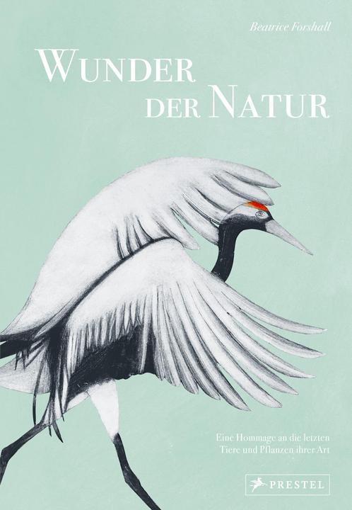Produktbild Wunder der Natur (Deutsch, Beatrice Forshall, 2023)