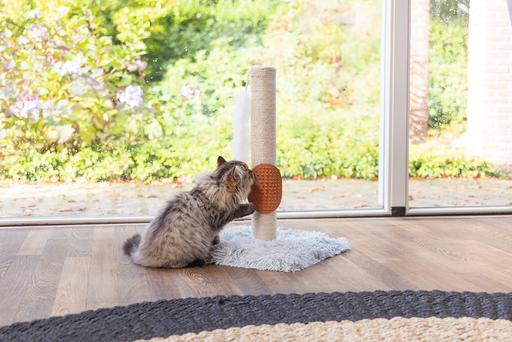 Image du produit Beeztees Pflegehandschuh (Chat)