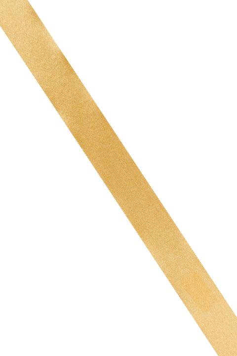 Produktbild Globus Geschenkband