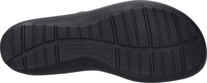 Image du produit Westland 25904-644 (36)