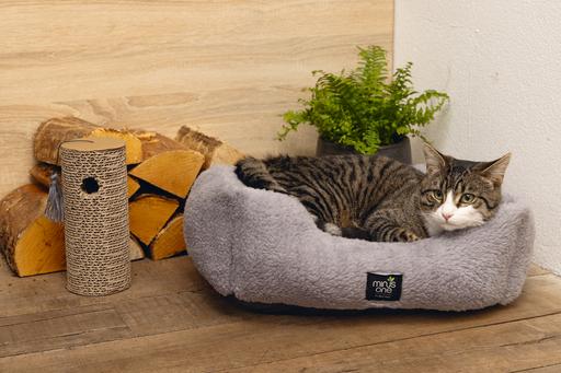 Immagine prodotto Beeztees Nox (Gatto)