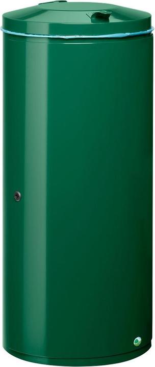 verde muschio (RAL 6005)