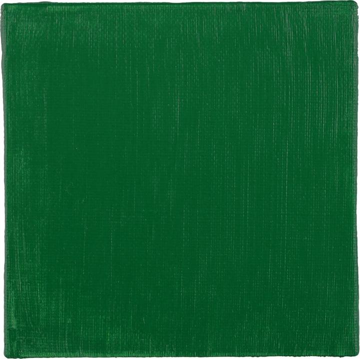Image du produit Clairefontaine ACRYLIQUE Vert perma nent clair 120ML (Feu vert permanent, 120 ml)
