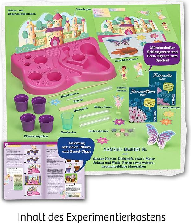 Actual product image Kosmos Fairy Garden