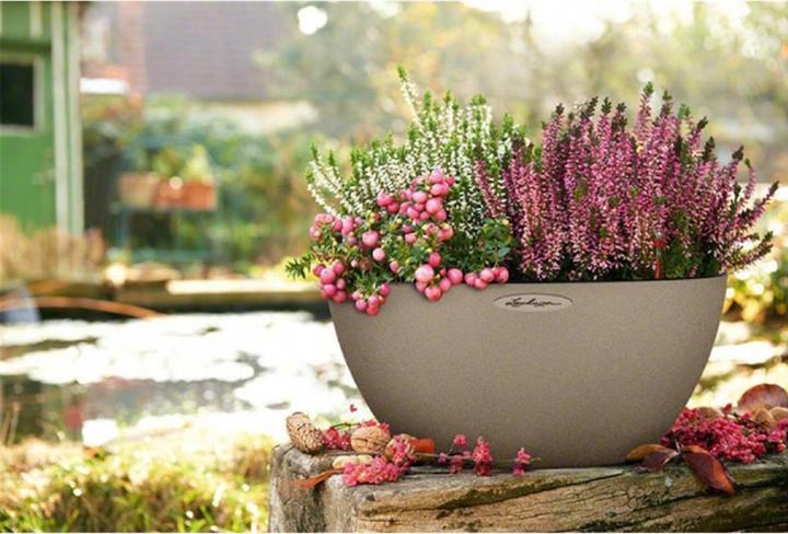 Produktbild Lechuza Cubeto Color (30 cm)