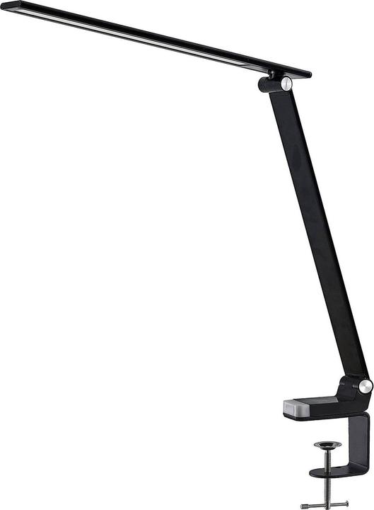 Actual product image Prios Tamarin (400 lm)