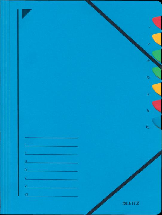 Actual product image Leitz Folder (A4, 1 x)