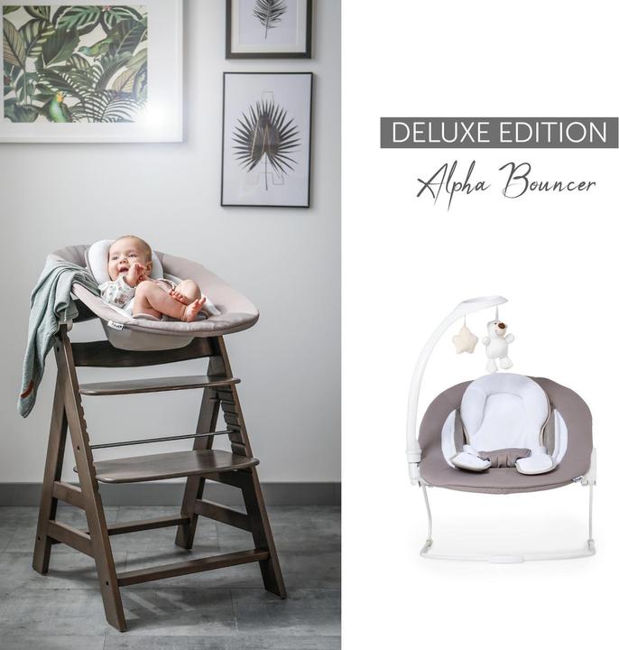 Actual product image Hauck Alpha Bouncer Deluxe
