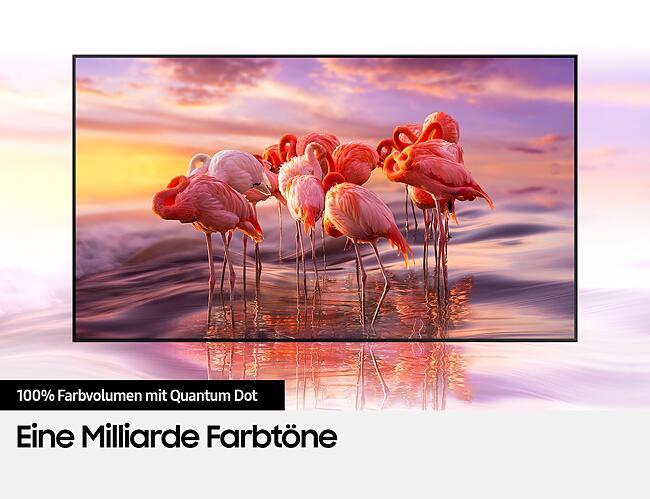 Actual product image Samsung QE55Q60T (55", QLED, 4K, 2020)
