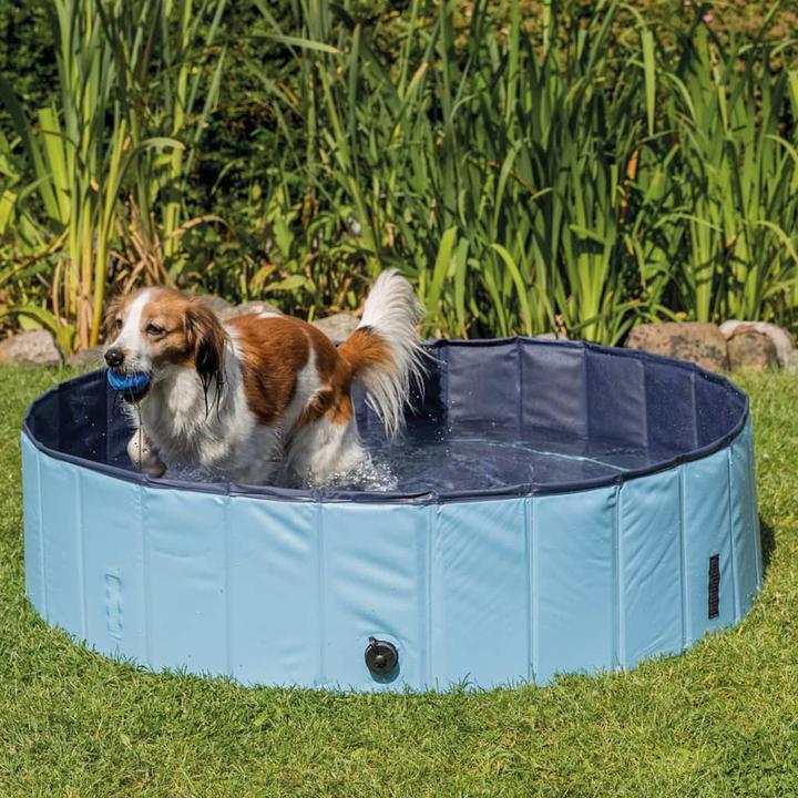 Produktbild Trixie Hundepool (Hundepool)