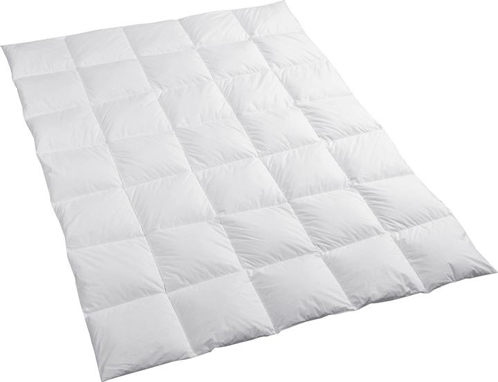 Image du produit Dauny Climaactive Evolution (570 g, 160 x 240 cm)
