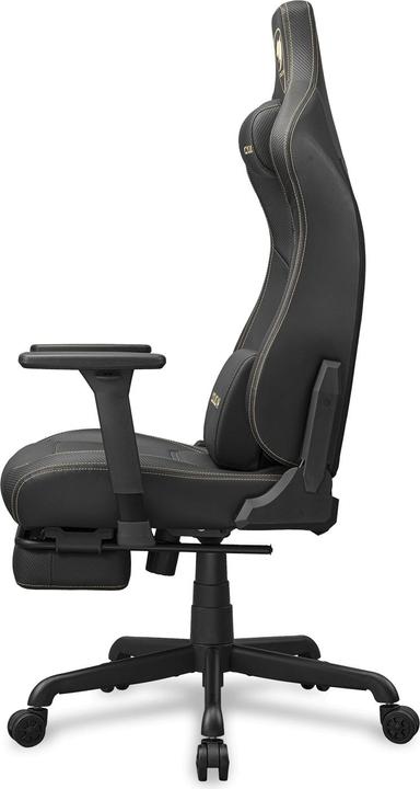 Actual product image Cougar Armor Evo S