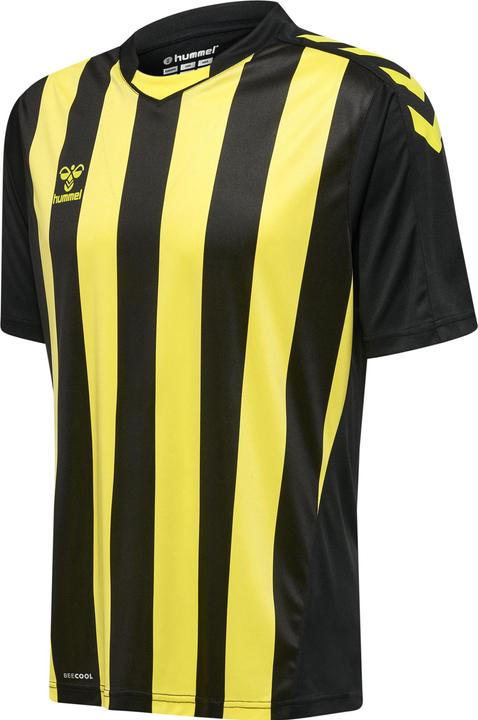 Actual product image hummel Core Xk Striped Jersey S/S (XXL)