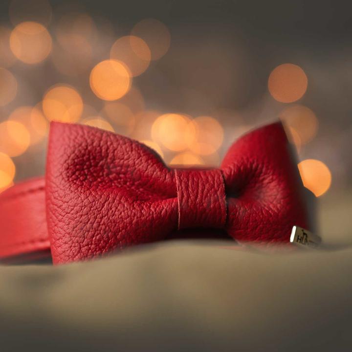 Immagine prodotto Hunter Accessori per colletto papillon Parigi, rosso (Cane, Generale)