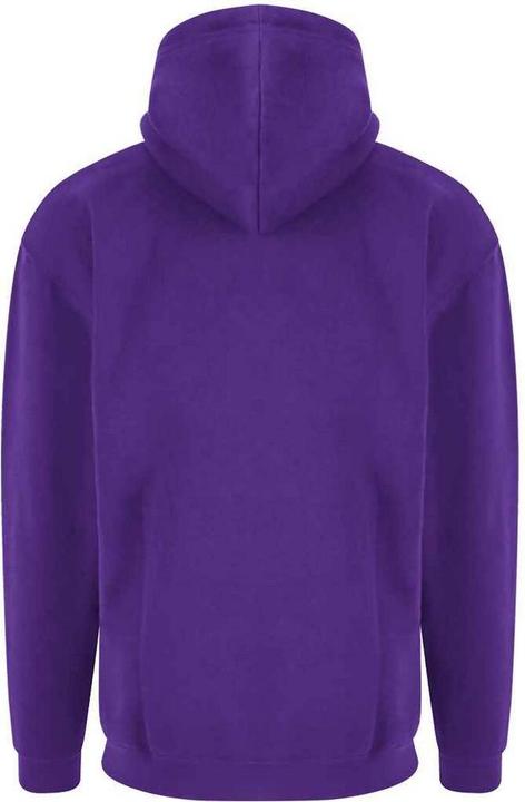 Actual product image Pro RTX Mens Hoodie (L)